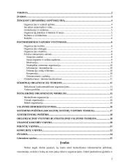 Postmoderniosios vadybos metodologija 2 puslapis