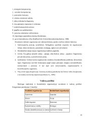 Postmoderniosios vadybos metodologija 14 puslapis