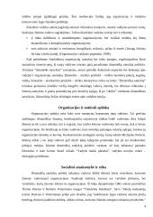 Postmoderniosios vadybos metodologija 4 puslapis