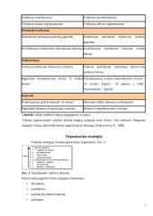 Postmoderniosios vadybos metodologija 7 puslapis