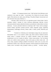 Požeminiai vandenys 2 puslapis