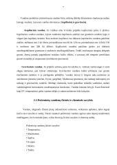 Požeminiai vandenys 6 puslapis