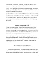 Pramogų verslas Lietuvoje 3 puslapis