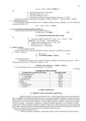 Pramonės gamybinio padalinio veiklos organizavimas 17 puslapis