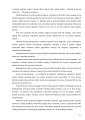 Pramonės nuosavybės objektai, jų apsaugos ypatumai, apsauginiai dokumentai 11 puslapis