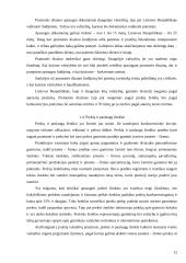 Pramonės nuosavybės objektai, jų apsaugos ypatumai, apsauginiai dokumentai 12 puslapis