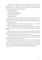 Pramonės nuosavybės objektai, jų apsaugos ypatumai, apsauginiai dokumentai 18 puslapis