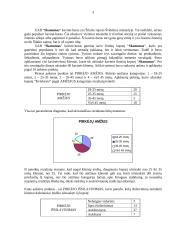 Prekės tyrimas 4 puslapis