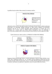 Prekės tyrimas 5 puslapis