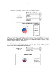 Prekės tyrimas 6 puslapis