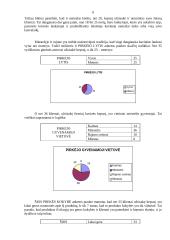 Prekės tyrimas 7 puslapis