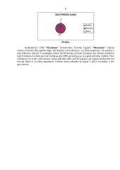 Prekės tyrimas 9 puslapis