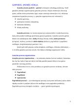 Prekybinės ir gamybinės įmonės veiklos skirtumai 6 puslapis