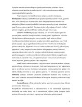 Prekybinės ir gamybinės įmonės veiklos skirtumai 8 puslapis