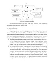 Prekinio ženklo, pakuotės vaidmuo reklamoje 11 puslapis