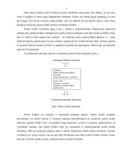 Prekinio ženklo, pakuotės vaidmuo reklamoje 7 puslapis