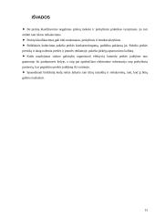 Prekių klasifikavimas ir brūkšninis prekių kodavimas 13 puslapis