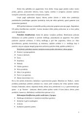 Prekių klasifikavimas ir brūkšninis prekių kodavimas 5 puslapis