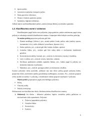 Prekių klasifikavimas ir brūkšninis prekių kodavimas 6 puslapis