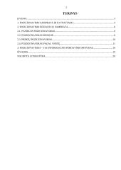 Prekių pozicionavimas 2 puslapis