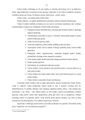 Prekių pozicionavimas 12 puslapis