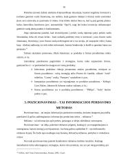 Prekių pozicionavimas 16 puslapis