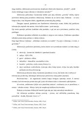 Prekių pozicionavimas 17 puslapis