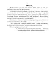 Prekių pozicionavimas 19 puslapis