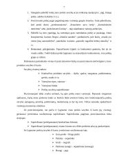 Prekių pozicionavimas 7 puslapis