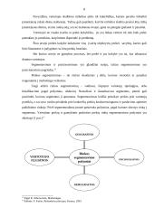 Prekių pozicionavimas 8 puslapis