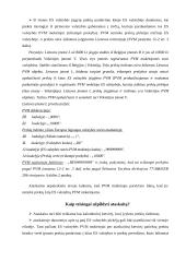 Prekių tiekimo į kitas Europos Sąjungos valstybes nares ataskaitos parengimas 13 puslapis