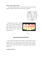 Priekinių dantų atstatymas 6 puslapis
