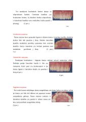Priekinių dantų atstatymas 8 puslapis