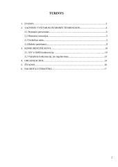 Prielaidos vadybos mokslui susiformuoti XIX-XX amžiuje 2 puslapis