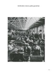 Prielaidos vadybos mokslui susiformuoti XIX-XX amžiuje 12 puslapis