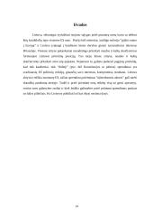 Priėmimo į Europos Sąjungą (ES) sąlygos ir Lietuvos pasirengimo lygis 13 puslapis