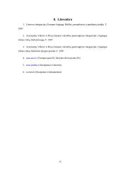 Priėmimo į Europos Sąjungą (ES) sąlygos ir Lietuvos pasirengimo lygis 14 puslapis