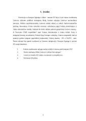 Priėmimo į Europos Sąjungą (ES) sąlygos ir Lietuvos pasirengimo lygis 2 puslapis