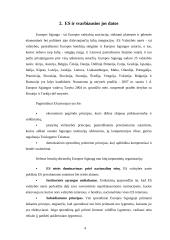 Priėmimo į Europos Sąjungą (ES) sąlygos ir Lietuvos pasirengimo lygis 3 puslapis