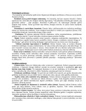 Priklausomybė nuo narkotikų 5 puslapis