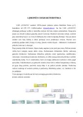 Problemos sprendimas organizacijoje 3 puslapis