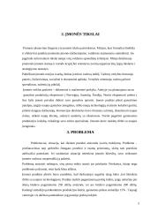 Problemos sprendimas organizacijoje 4 puslapis