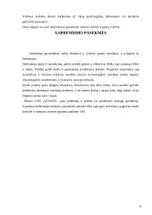 Problemos sprendimas organizacijoje 7 puslapis