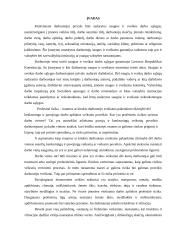 Profesinė rizika 2 puslapis