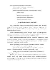 Profesinė rizika 4 puslapis