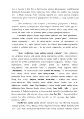 Programavimo kalbos apžvalga: Visual Basic for Aplication 11 puslapis