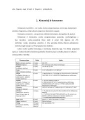 Programavimo kalbos apžvalga: Visual Basic for Aplication 12 puslapis