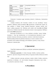 Programavimo kalbos apžvalga: Visual Basic for Aplication 13 puslapis