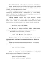 Programavimo kalbos apžvalga: Visual Basic for Aplication 16 puslapis