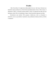 Programavimo kalbos apžvalga: Visual Basic for Aplication 18 puslapis